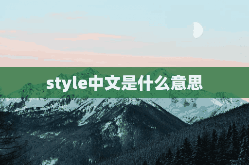 style中文是什么意思